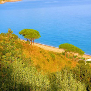 SICILIA 6 542mn