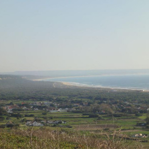 DSC05770
