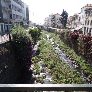 Madeira00005