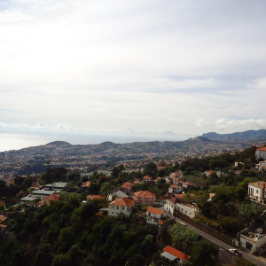 Madeira00010