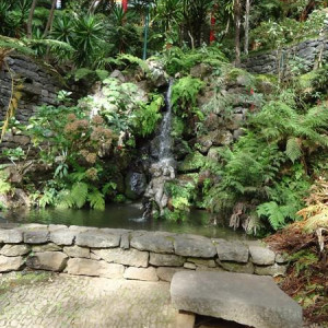 Madeira00012