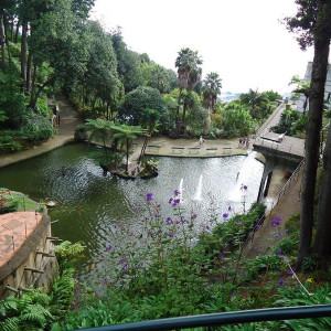 Madeira00016