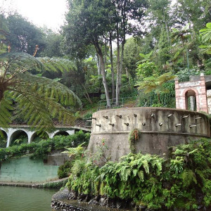 Madeira00017