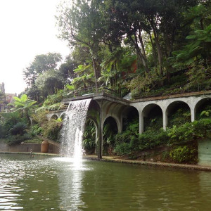 Madeira00018