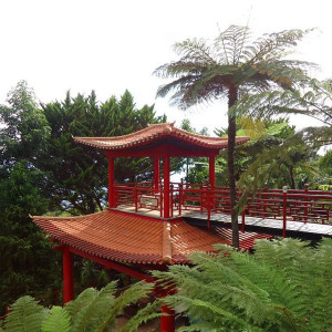 Madeira00023