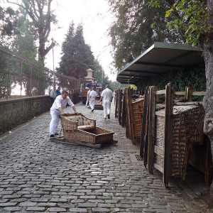 Madeira00026