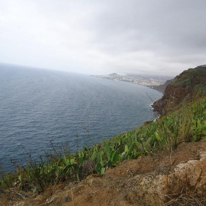 Madeira00035