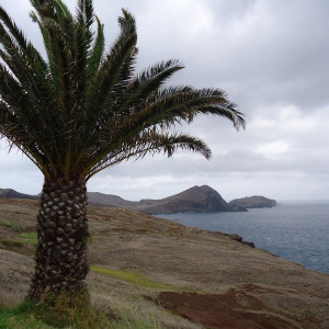 Madeira00046