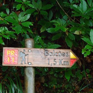Madeira00057