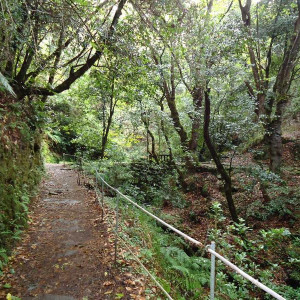 Madeira00058