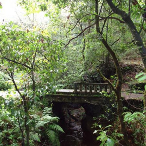 Madeira00059
