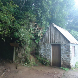 Madeira00060