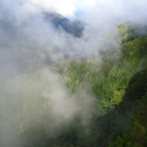 Madeira00062