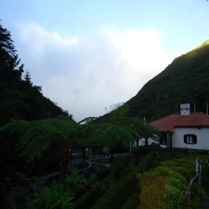 Madeira00065