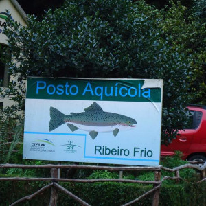 Madeira00066