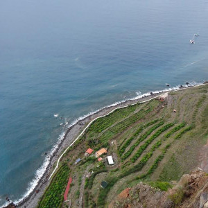 Madeira00081