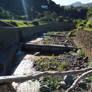 Madeira00085