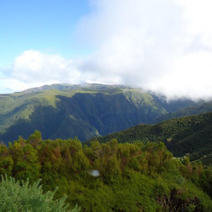 Madeira00113