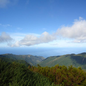 Madeira00114