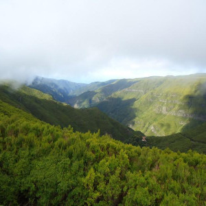 Madeira00115