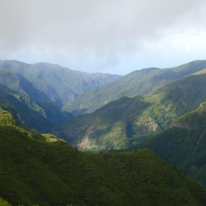 Madeira00116