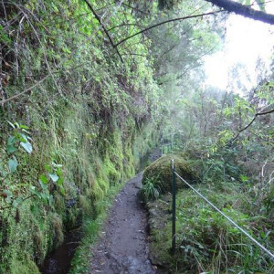 Madeira00125