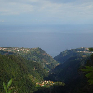 Madeira00126