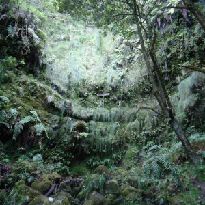 Madeira00127