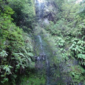 Madeira00129