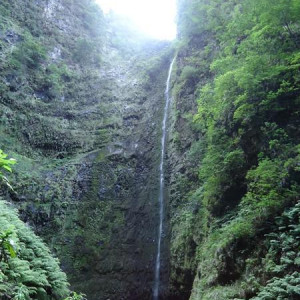 Madeira00131