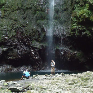Madeira00132