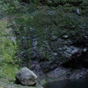Madeira00133
