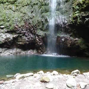 Madeira00134