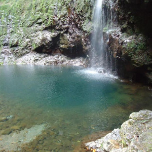 Madeira00135