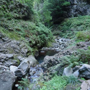 Madeira00136