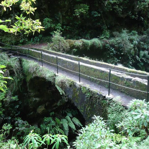 Madeira00137