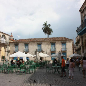 Havana