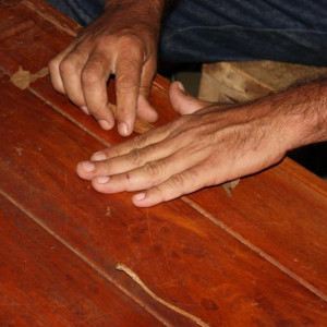 Plantações De Tabaco (14)
