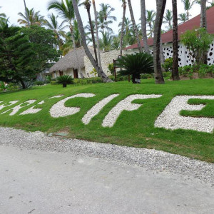 DSC00597