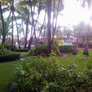 IMG 20130919 065523