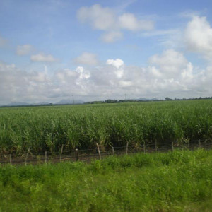 P9200634