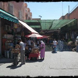 04 09 2013 (91) (Cópia)