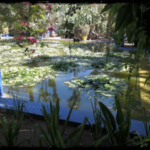 04 09 2013 (230) (Cópia)