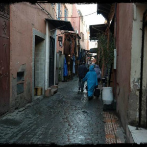 04-09-2013 (521) (Cópia).jpg