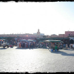 04-09-2013 (539) (Cópia).jpg