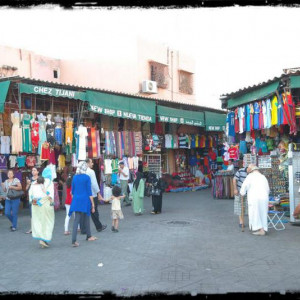 04-09-2013 (568) (Cópia).jpg