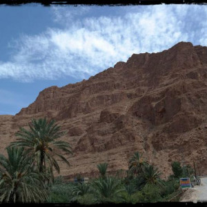09060074 (Cópia)