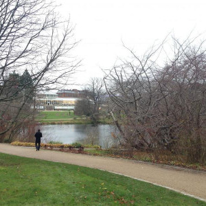 Botanical Garden2