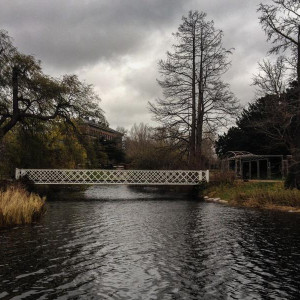 Botanical Garden5