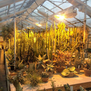 Botanical Garden6